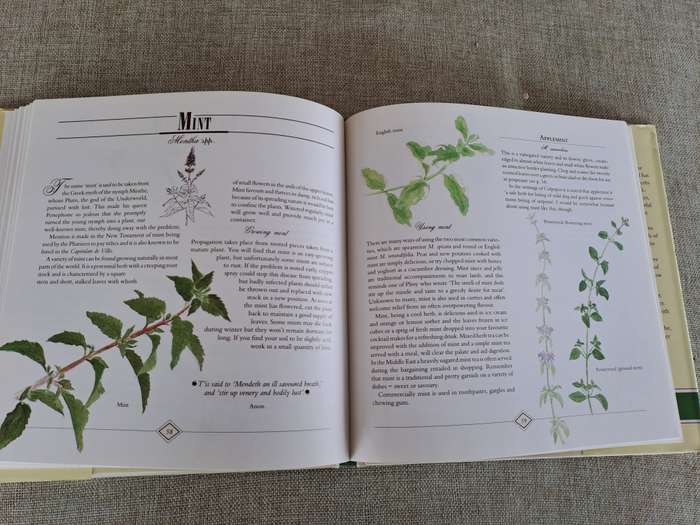 A Celebration of Herbs: for the South African garden & home  Barbara Hey