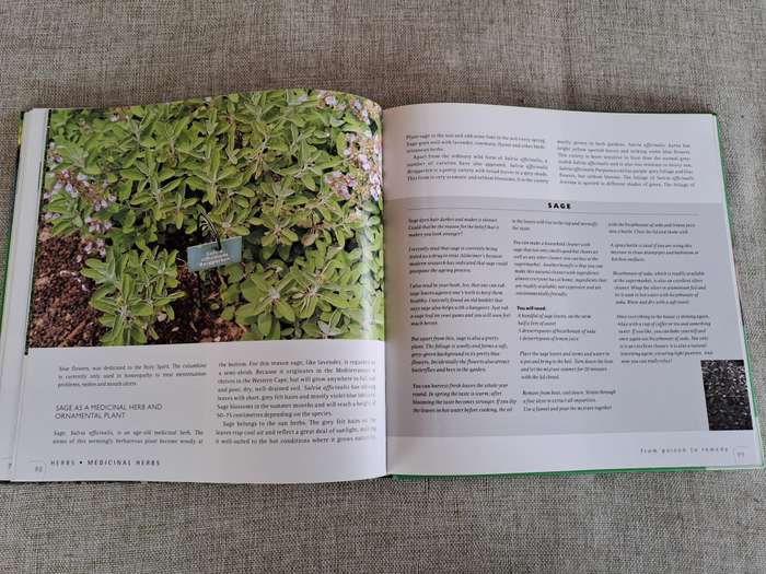 Herbs: Healthy living with herbs from your garden - Ivo Pauwels & Gerty Christoffels