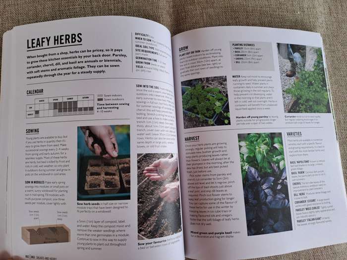 Grow Easy Veg - Jo Whittingham