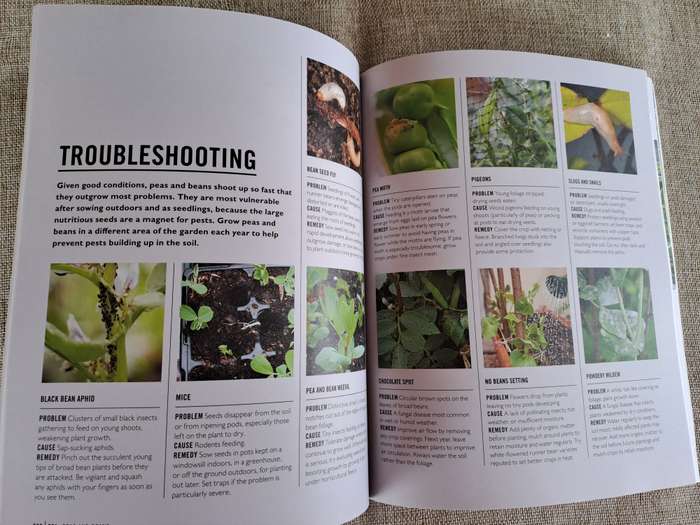 Grow Easy Veg - Jo Whittingham