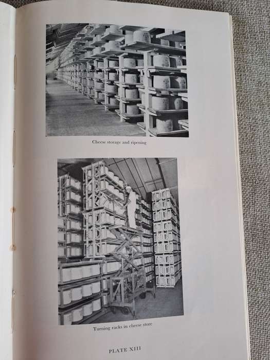 Cheesemaking Bulletin No. 43
