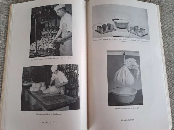 Cheesemaking Bulletin No. 43