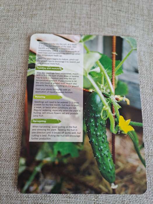 The Little Veggie Patch Co. How-to Cards Box Set