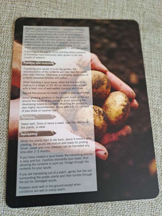 The Little Veggie Patch Co. How-to Cards Box Set