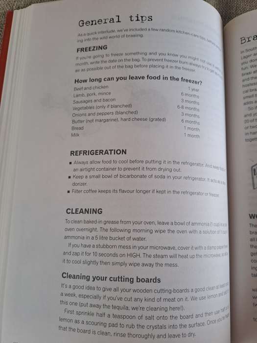 Everyday Survival Guide - Lindie Metz & Jennifer Swarts