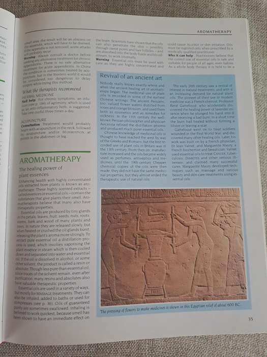 South African Family Guide to Natural Medicine  Readers Digest