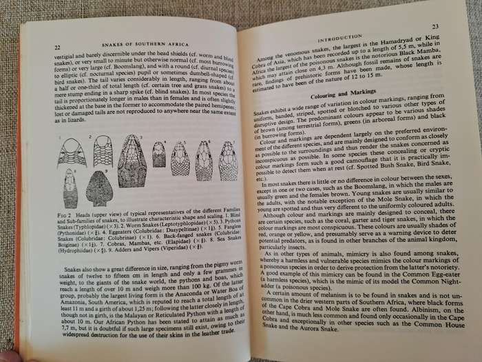 A Field Guide to the Snakes of Southern Africa - V.F.M. FitzSimons