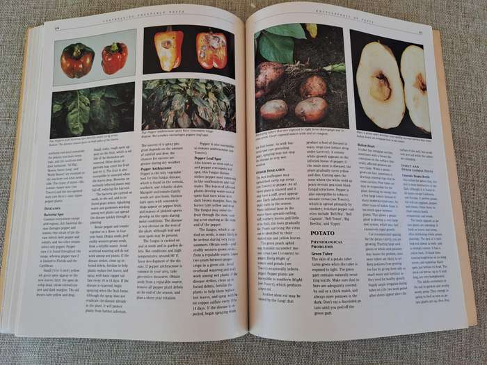 Controlling Vegetable Pests - Cynthia Putnam (editor)