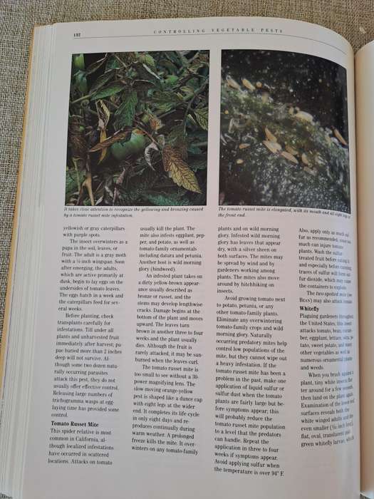Controlling Vegetable Pests - Cynthia Putnam (editor)