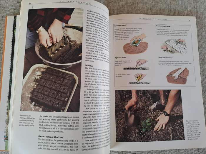 All About Vegetables - Walter L. Doty