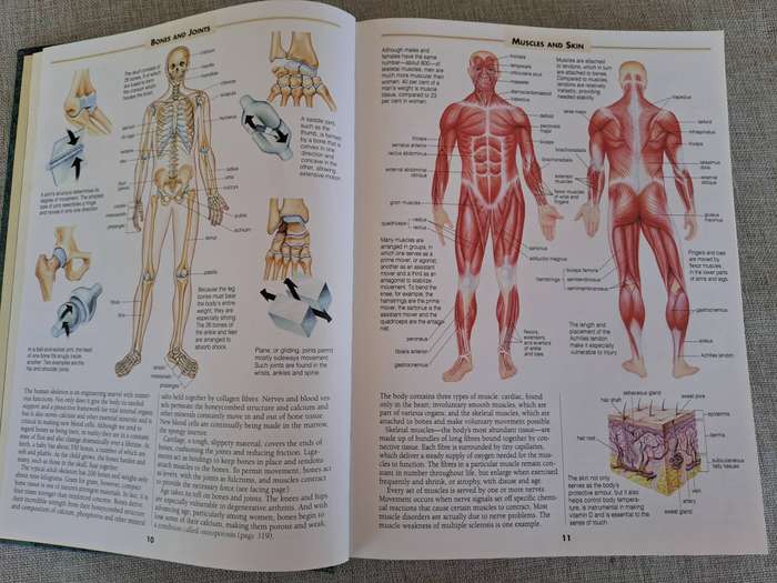 Guide to Medical Cures & Treatments  Readers Digest