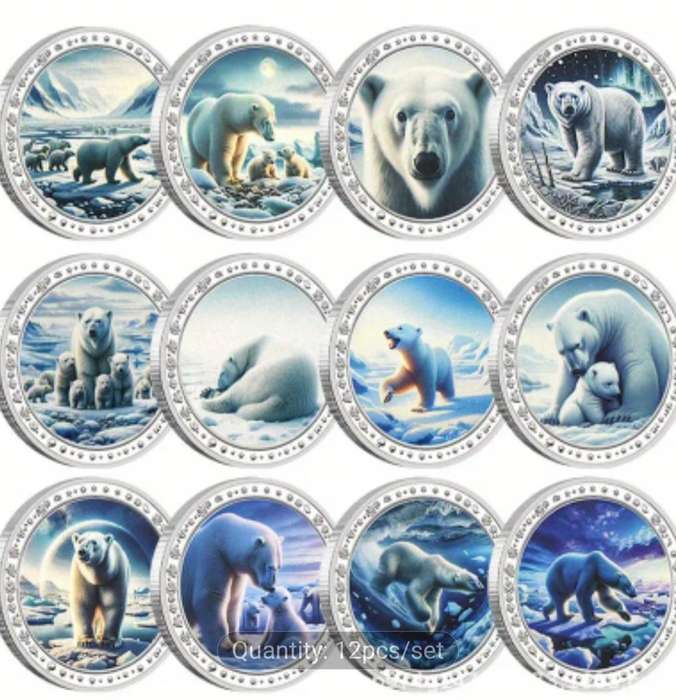 12 pc's Polar Bear Family Coin Set in DisplayBox New All in Protected Capsules 40mm Coins