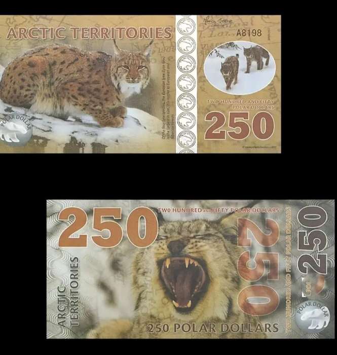 14pc Arctic Wildlife Paper Money Set,Animal Designs "Excellent" New