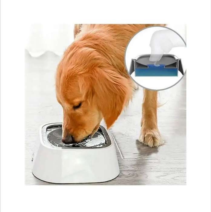 Pet Water Bowl