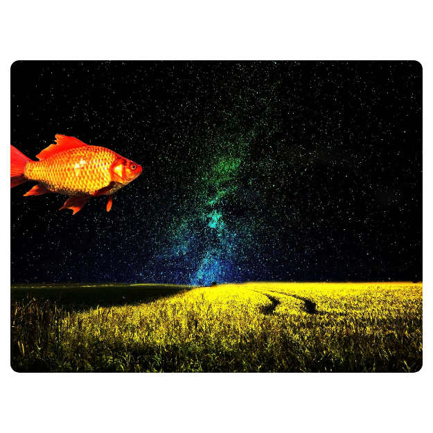 Printed Mouse Pad: Goldfish