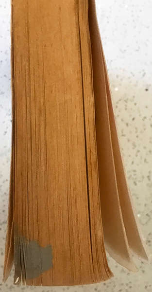 Light on the Yoga Sutras of Patanjali