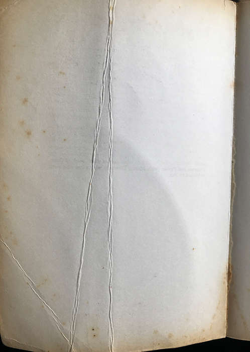The Constance Spry Cookery Book