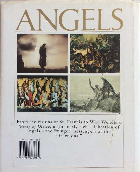 ANGELS - An Endangered Species - Malcolm Godwin