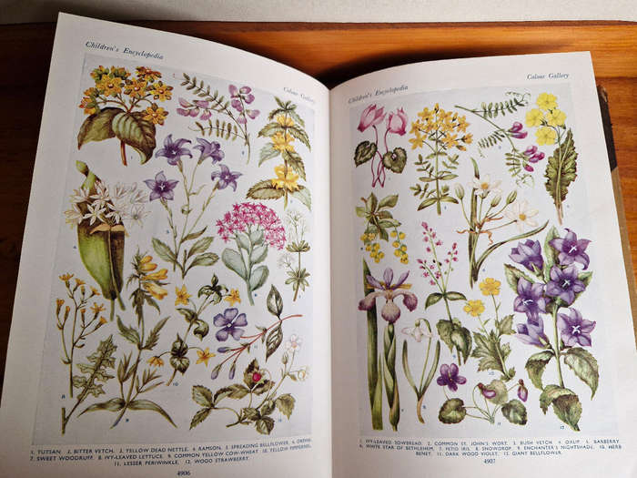 Arthur Mee Childrens encyclopedia 10 volumes