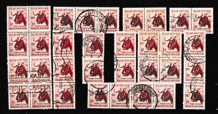 UNION BLACK WILDEBEEST DEFINITIVE