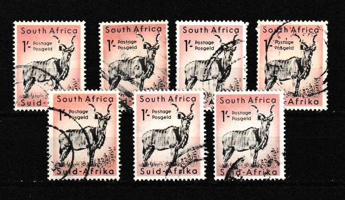 UNION KUDU DEFINITIVE