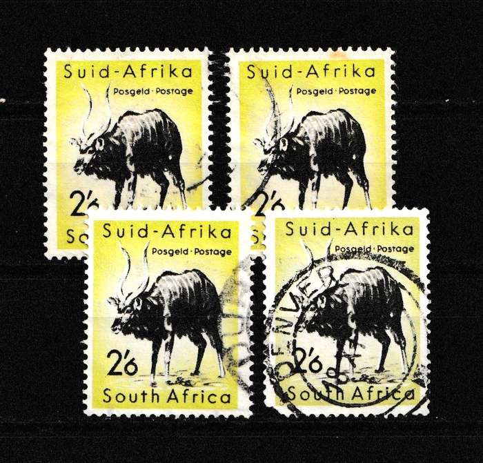 UNION NYALA DEFINITIVE
