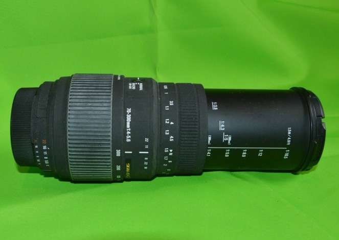 70-300mm Macro Lens Nikon mount: Sigma F4-5.6 DG MACRO