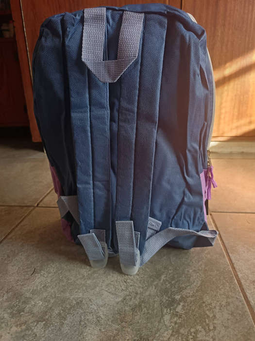 Spacious Everyday Backpack  shades of purple