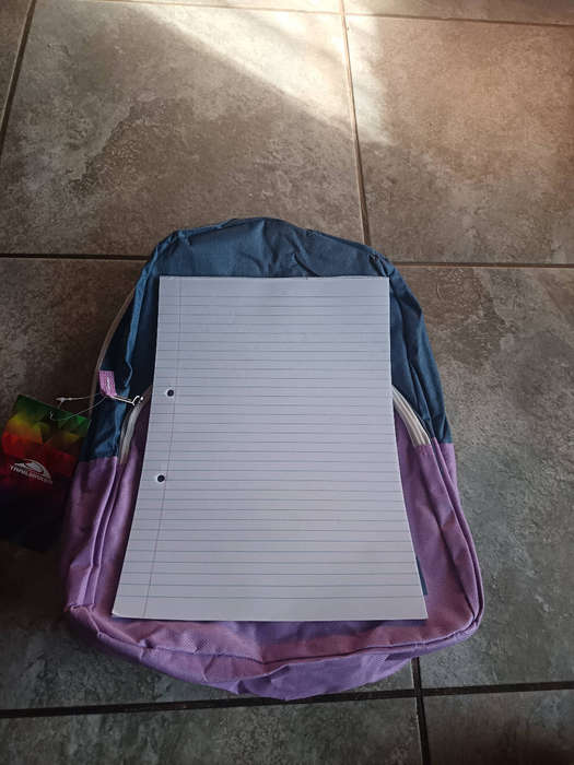 Spacious Everyday Backpack  shades of purple
