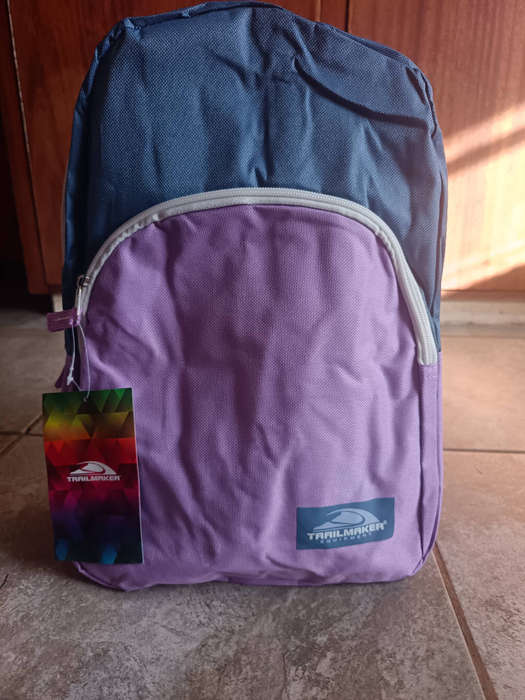 Spacious Everyday Backpack  shades of purple