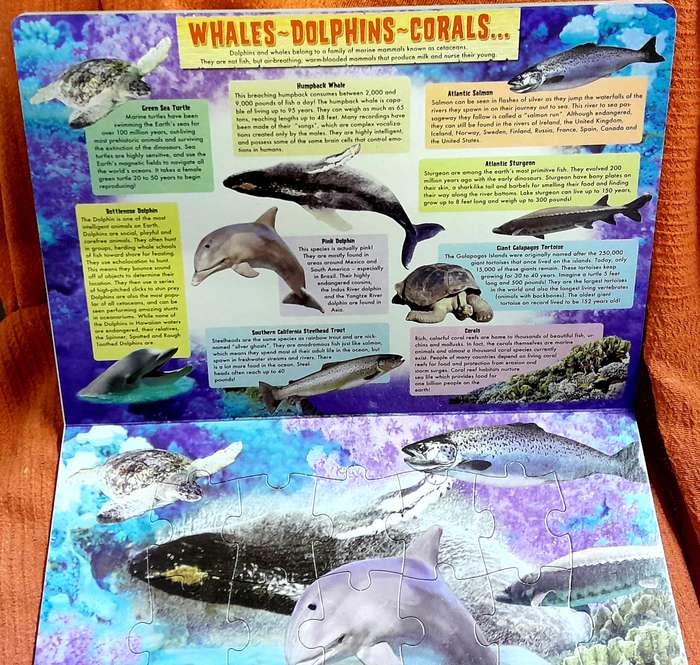 Animal Treasures Puzzle in Book Form