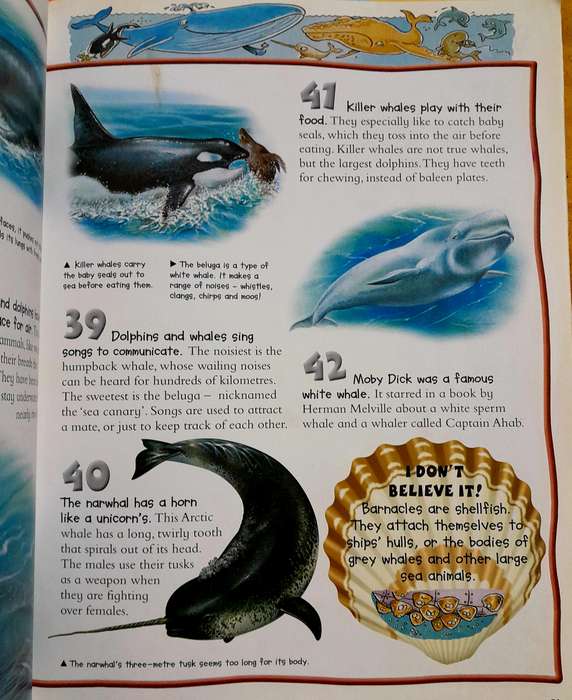 100 Facts Oceans by Miles Kelly