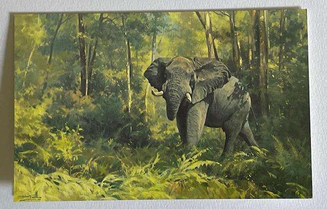 Greeting card AFRICAN ELEPHANT - by Dino Paravano - with envelopes