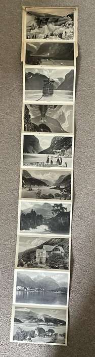 Antique Picture Postcard - late 1890's - early 1900's - NORWAY - Eneret Carl Normann - RARE!