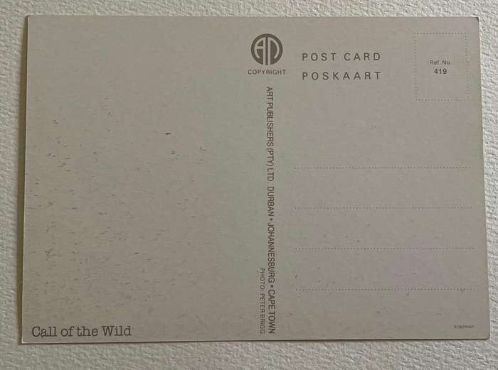 Postcard - CALL OF THE WILD - unused. South Africa.