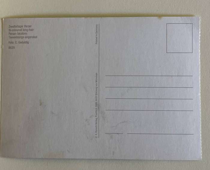 Postcard - Persian Bicolore - A. Korsch Verlag - Germany