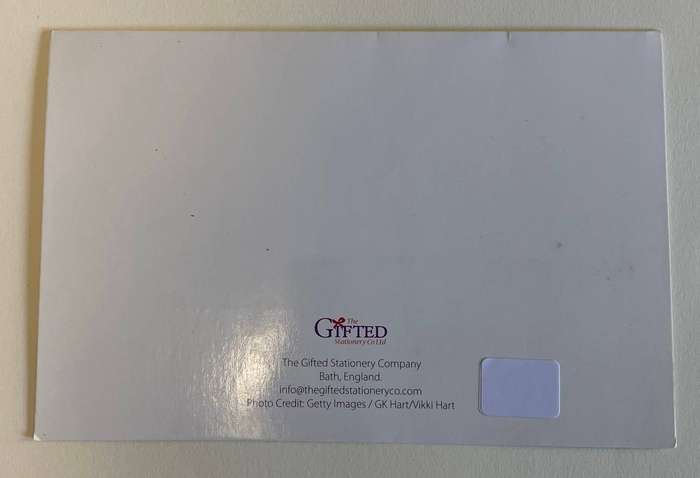 Postcard - Labrador - Blank notelet - Gifted Stationery Co. UK - unused