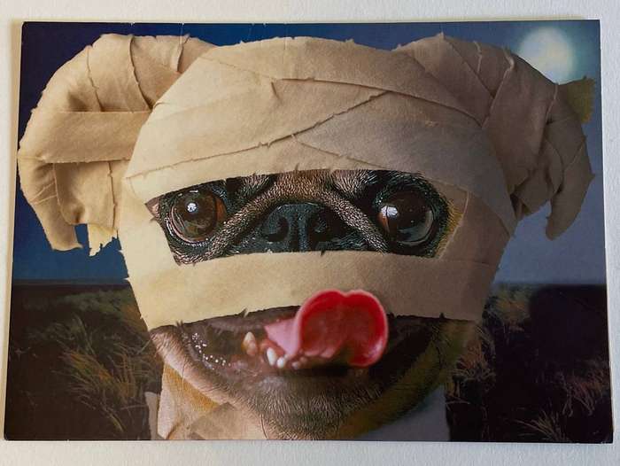 Greeting card - "Hope You Wind Up a Bit Better" Cutest get well card -unused . Avanti
