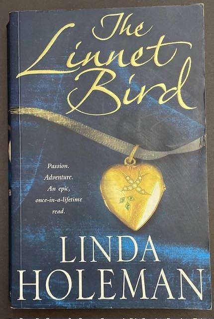 The Linnet Bird - 2024 - Headline publishers - 377 pages - Great read!