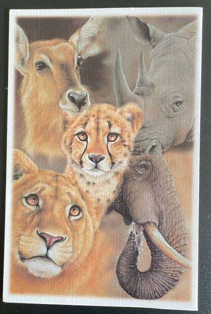 Blank card - CLOSE TO AFRICA - LIONESS - COMPASSIONATE EYES - LISA HALSTEAD #AFRICANA