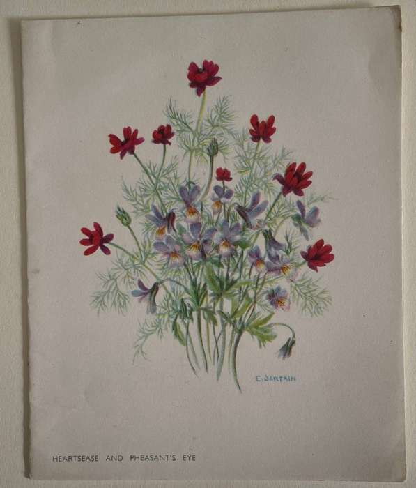Vintage notelet - Heartease and Pheasants Eye - Birlington - Fine Arts Publisher - UK
