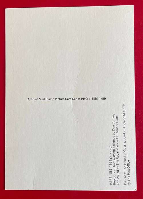 Maxi Card - AVOCET - 27P -  Royal Mail 1989
