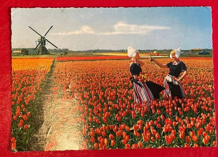 Vintage postcard - Holland at Tulip time - Clarksons - with compliments General Bank of Netherlands