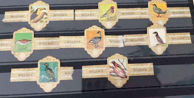 WILHELM ii CIGAR LABELS - BIRDS - 8 LABELS