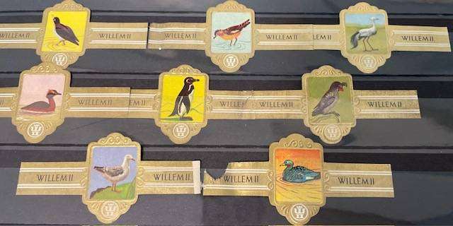 WILHELM ii CIGAR LABELS - BIRDS (3) - 8 LABELS