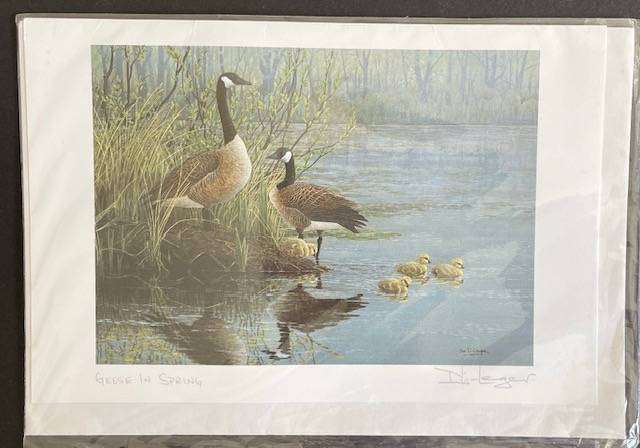 Large Canadian Art Card -" Geese in Spring" - Don Le Leger   - Blank inside - NEW
