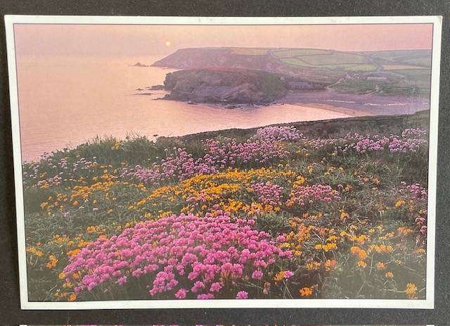 Postcard - WILDFLOWER COAST N WEST COUNTRY - UK - BOB CROXFORD