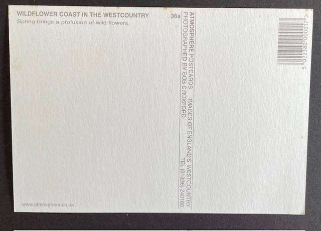 Postcard - WILDFLOWER COAST N WEST COUNTRY - UK - BOB CROXFORD