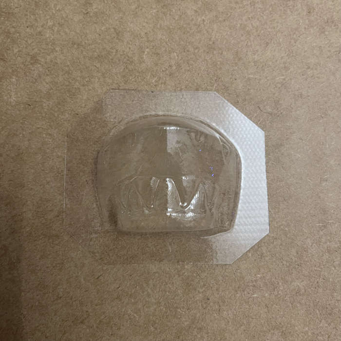 Shark Vacuform Mould