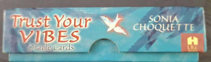 Trust your vibes by Sonia Choquette